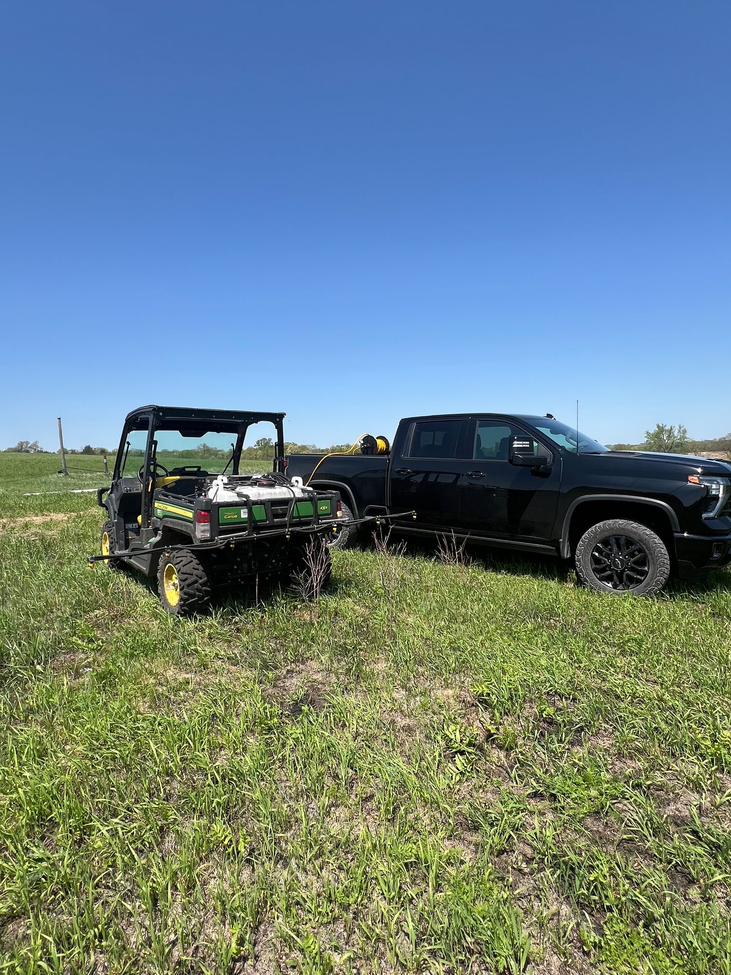CRP field, food plot, central iowa, southern  iowa, habitat restoration, hunting, whitetail deer, pheasant, boone, county, marion, polk, bloomfield, leon, 